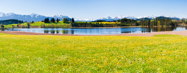  panoramic rural landscape in region Bavaria at springtime