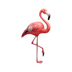 Pink flamingo bird exotic flamingo cut out png isolated on transparent background