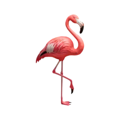 Fotobehang Pink flamingo bird exotic flamingo cut out png isolated on transparent background © Pipin