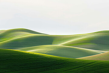 Panoramic shot of rolling green hills