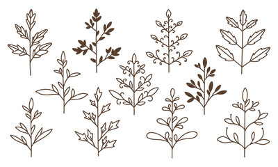 leaves doodle collection vector