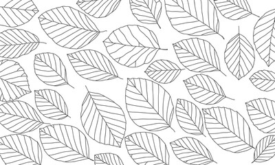 Leaves outline pattern hand drawn vector background