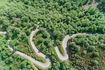winding road on a mountain with oak forest, overhead drone view
