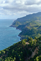 Westküste Mallorca Steilküste mit Wald