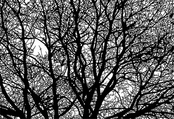 arboles, vector, silueta, paisaje, arbol, florecer, ramas, hojas, bosque, ilustracion, arte, naturaleza, descanso, follaje, textura