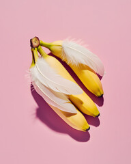 Bunch of bananas with bird feathers, exotic tropical fruit on pastel pink background.