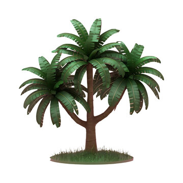 Tree 3d render illustration of tropical trees isolated on transparent background