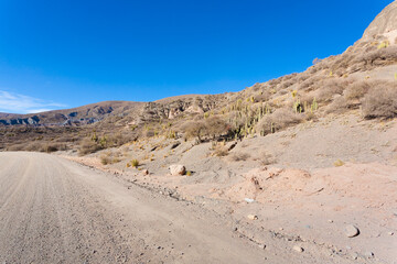 Bolivian dirt road view,Bolivia
