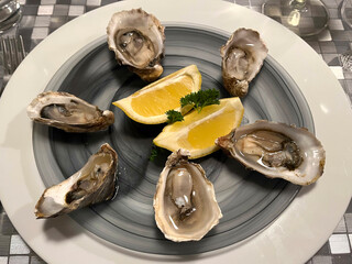 Oysters on the half shell © Jack