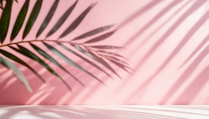 Fototapeta premium Soft Spring Vibes: Blurred Palm Leaf Shadows on Light Pink Wall