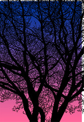 arboles, vector, silueta, paisaje, arbol, florecer, ramas, hojas, bosque, ilustracion, arte, naturaleza, descanso, follaje, textura