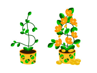 Dollar Tree. Plant with coins.
