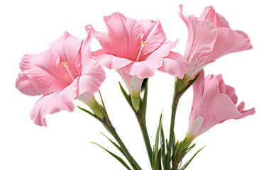 A beautiful display of numerous pink flowers filling a vase with elegance and charm
