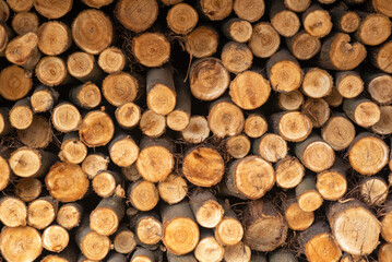 stack of firewood