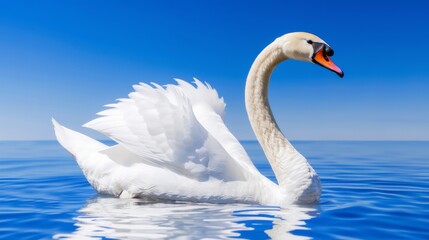  A pure white swan gracefully glides atop tranquil water, surrounded by verdant foliage and a serene blue sky