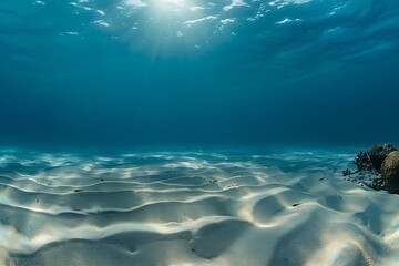 Fototapeta na wymiar Underwater blue ocean wide panorama background with sandy sea bottom .