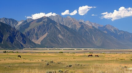  A trio of equines roam in a meadow before rugged mountains with a valley upfront and cloudy skies behind