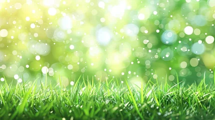 Foto op Aluminium Background of spring featuring bokeh lights and verdant grass. © Image
