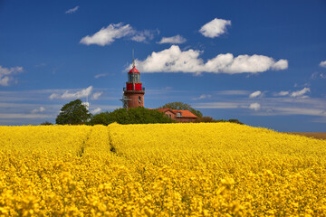 Lighthouse Buk near Bastdorf in yellow field