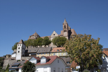 Obraz premium Vieux-Brisach vu depuis les rives du Rhin
