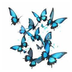 Swarm of Blue Butterflies Isolated