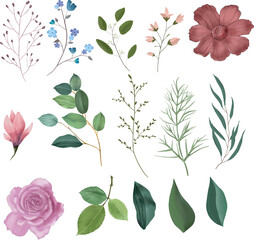 Watercolor Floral Elements Collection.Jpg.