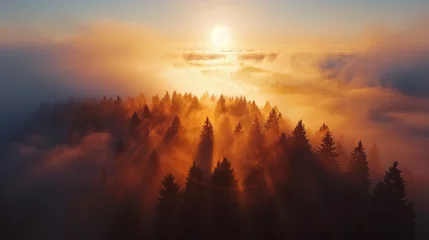 Tuinposter A captivating drone view capturing the sunrise over the mist-covered Welzheim Forest, creating a mesmerizing scene of nature's beauty. © Leman