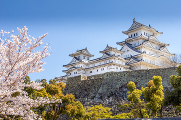 Cherry blossom and the Himeji castle in Japan