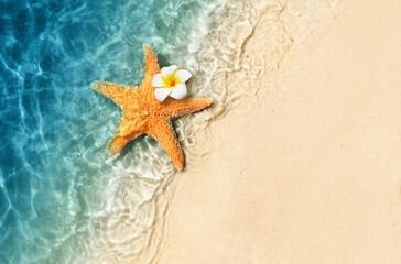 Starfish and flower on the summer beach in sea water. Summer background. - 771770620