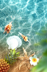 Yellow pineapple, seashells and flowers on a blue water background. - 771770815