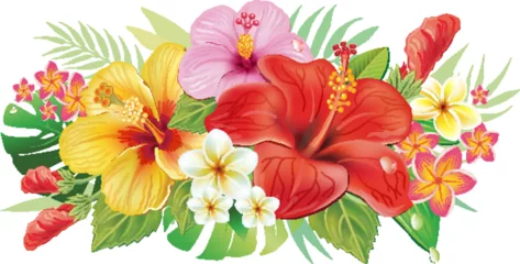 Poster Arrangement from hibiscus flowers © Viktoriia Protsak