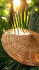 Close-Up of Bamboo Hat on Palm Tree