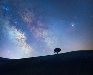 galactic center of the milky way with a tree silhouette on a meadow