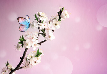 Blossom tree over nature background with butterfly. Spring flowers. Spring background. - 771776612