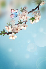 Blossom tree over nature background with butterfly. Spring flowers. Spring background. - 771776843