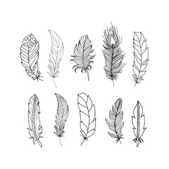 Hand Drawn Feathers Collection.Jpg.