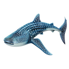 Whale shark on transparent or white background