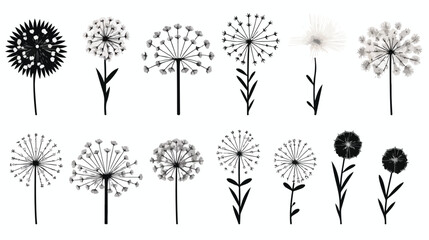 Abstract dandelions set in linear style monochrome