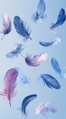 Fototapeta na wymiar Feathers on sky-blue background. Symbolizing lightness. Elegant template for advertising, poster, postcard.