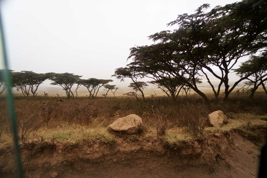 Lanschaft Tanzania