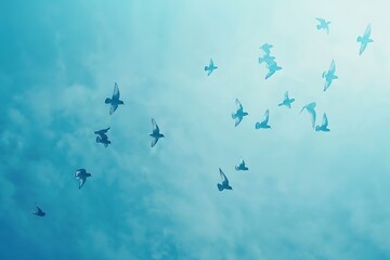 : A calming blue background with a flock of small birds flying in a perfect V formation.