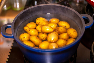 Fresh Potatoes in a Blue Cast Iron Pot