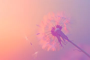  : A gradient background blending from lavender to peach, with a single, delicate dandelion seed floating on the breeze. © crescent