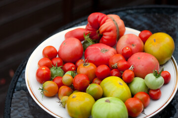 Naklejka na ściany i meble Tomato Harvest Bounty