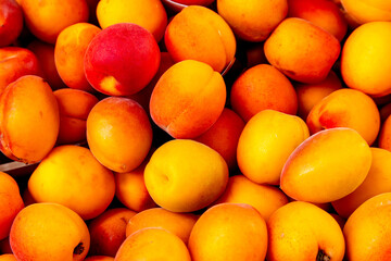 Close-Up of Fresh Apricots on Display in Treviso Market