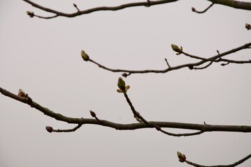 Familienwanderweg 