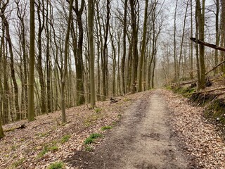 Garnbacher Rabenswald e.V. Famielienwanderweg bei Garnbach, Hohe Schrecke