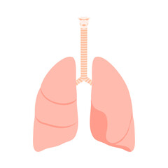 ヒトの肺。フラットなベクターイラスト。
Human lungs. Flat vector illustration.