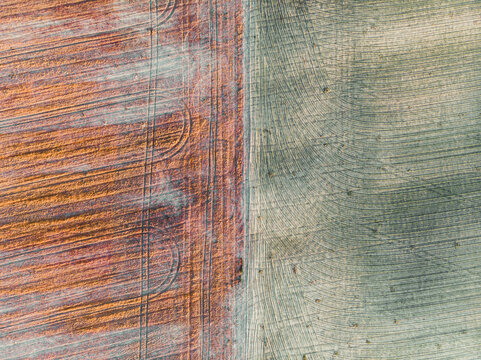 The image is a close up of a piece of fabric with a brown and green stripe