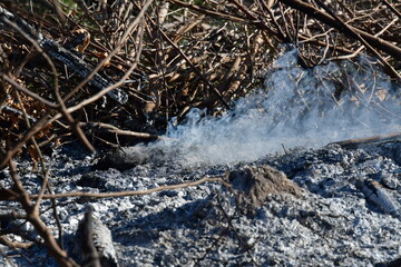 Ashes and Smoke in a Brush Fire